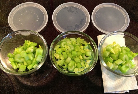 Celery ready for the experiment.