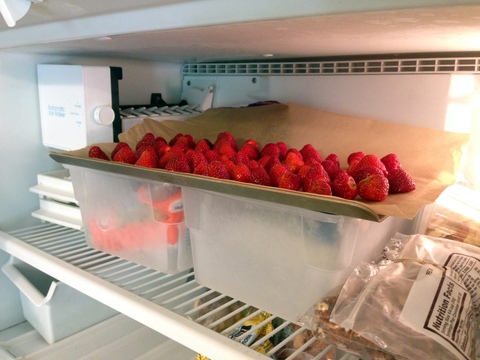 Strawberries in freezer